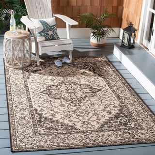 Safavieh Beach House BHS137 Creme / Brown Area Rug