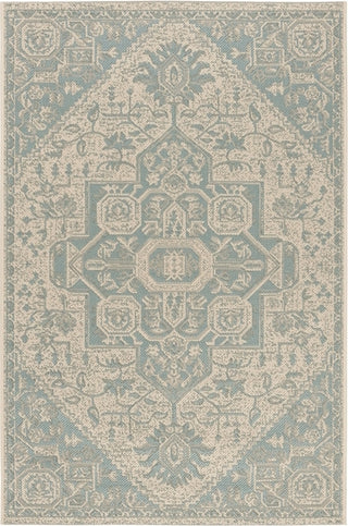 Safavieh Beach House BHS138 Aqua / Cream Area Rug