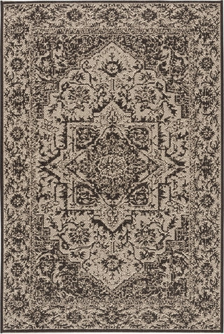 Safavieh Beach House BHS139 Creme / Brown Area Rug