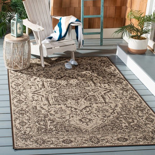 Safavieh Beach House BHS139 Creme / Brown Area Rug