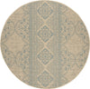 Safavieh Beach House BHS174 Aqua / Cream Area Rug