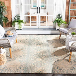 Safavieh Beach House BHS174 Aqua / Cream Area Rug