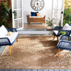 Safavieh Beach House BHS180 Cream / Beige Area Rug