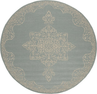 Safavieh Beach House BHS180 Cream / Aqua Area Rug