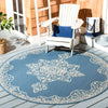 Safavieh Beach House BHS180 Cream / Blue Area Rug