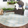 Safavieh Beach House BHS181 Aqua / Cream Area Rug