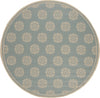 Safavieh Beach House BHS181 Aqua / Cream Area Rug