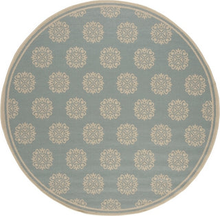 Safavieh Beach House BHS181 Aqua / Cream Area Rug