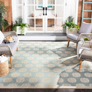 Safavieh Beach House BHS181 Aqua / Cream Area Rug