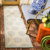 Safavieh Beach House BHS181 Cream / Aqua Area Rug