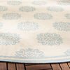 Safavieh Beach House BHS181 Cream / Aqua Area Rug