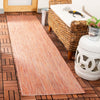 Safavieh Beach House BHS218 Rust Area Rug