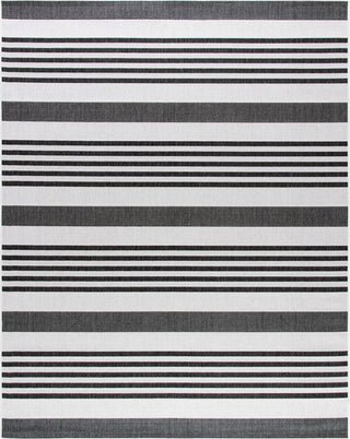 Safavieh Beach House BHS222 Light Grey / Charcoal Area Rug