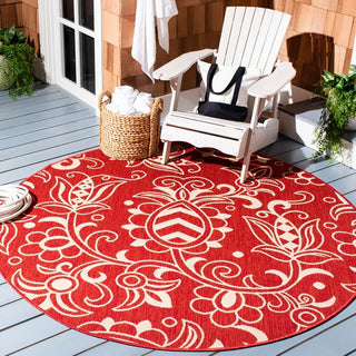 Safavieh Beach House BHS246 Red / Beige Area Rug