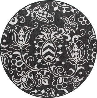 Safavieh Beach House BHS246 Black / Light Grey Area Rug