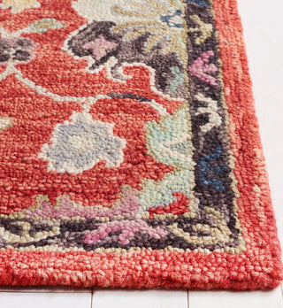 Safavieh Blossom BLM470Q Red / Ivory Area Rug Detail