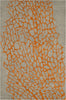 Safavieh Blossom BLM695C Grey / Orange Area Rug main image