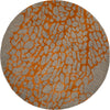 Safavieh Blossom BLM695C Grey / Orange Area Rug Round