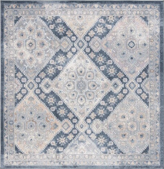 Safavieh Blair Washable BLR220 Grey / Navy Area Rug