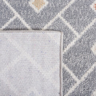 Safavieh Blair Washable BLR230 Grey / Multi Area Rug