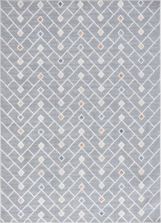 Safavieh Blair Washable BLR230 Grey / Multi Area Rug