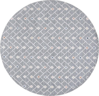 Safavieh Blair Washable BLR230 Grey / Multi Area Rug