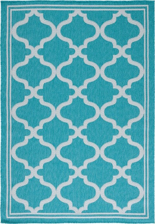 Safavieh Bermuda BMU810 Aqua / Grey Machine Washable Area Rug