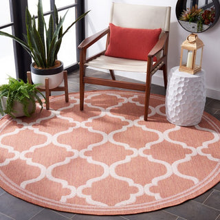 Safavieh Bermuda BMU810 Rust / Ivory Machine Washable Area Rug