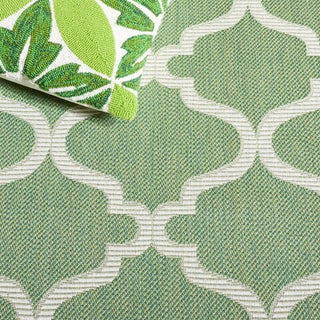 Safavieh Bermuda BMU810 Green / Ivory Area Rug