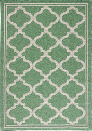 Safavieh Bermuda BMU810 Green / Beige Machine Washable Area Rug