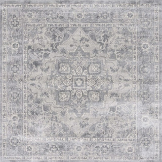 Safavieh Brentwood BNT837F Grey / Light Area Rug Square