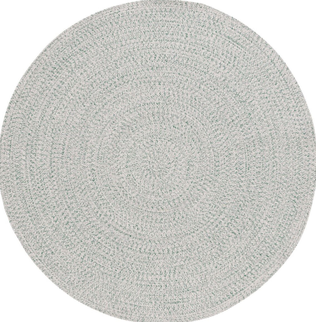 Safavieh Braided BRA201Y Ivory / Green Machine Washable Area Rug main image