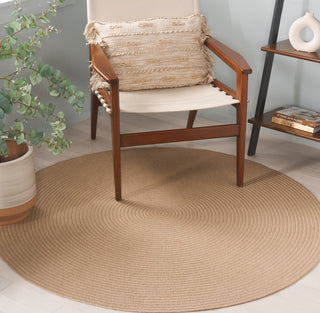 Safavieh Braided 800 BRA802A Natural Area Rug Room Scene