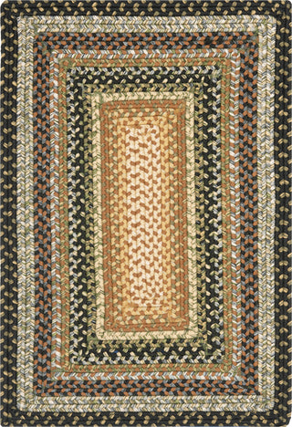 Safavieh Braided BRD308A Multi Area Rug main image