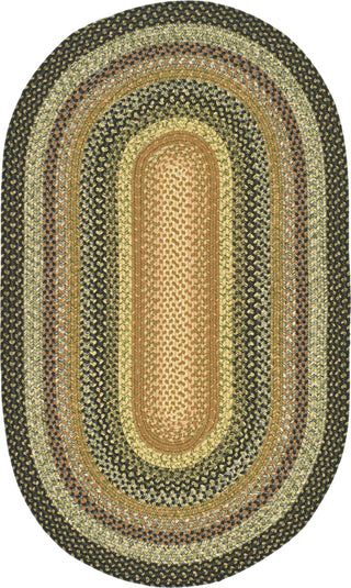 Safavieh Braided BRD308A Multi Area Rug 