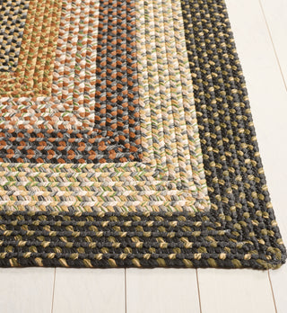 Safavieh Braided BRD308A Multi Area Rug Detail