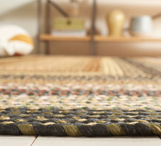 Safavieh Braided BRD308A Multi Area Rug Detail