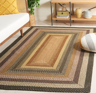 Safavieh Braided BRD308A Multi Area Rug Room Scene