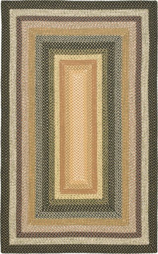 Safavieh Braided BRD308A Multi Area Rug Main
