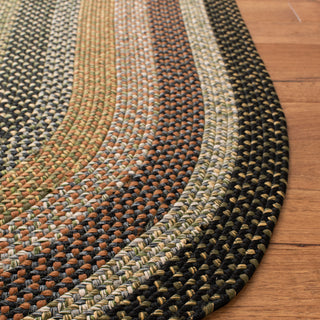 Safavieh Braided BRD308A Multi Area Rug Detail