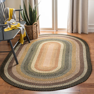 Safavieh Braided BRD308A Multi Area Rug Room Scene