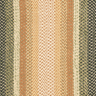 Safavieh Braided BRD308A Multi Area Rug 