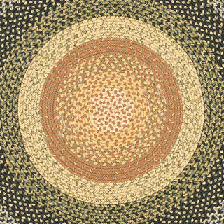 Safavieh Braided BRD308A Multi Area Rug 