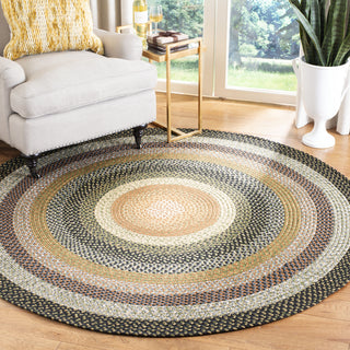 Safavieh Braided BRD308A Multi Area Rug Room Scene