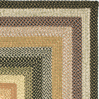 Safavieh Braided BRD308A Multi Area Rug 