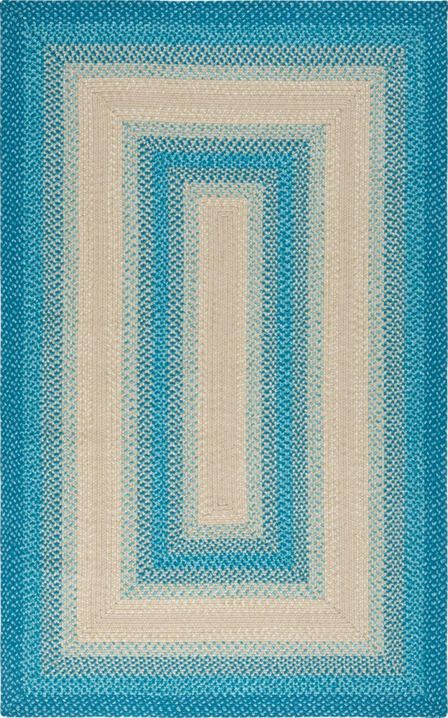 Safavieh Braided BRD311M Blue / Beige Machine Washable Area Rug main image