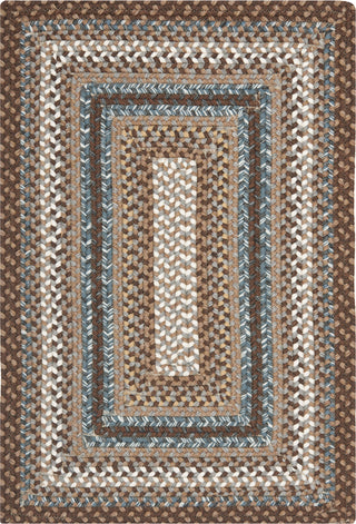 Safavieh Braided BRD313A Brown / Multi Area Rug main image