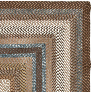 Safavieh Braided BRD313A Brown / Multi Area Rug 