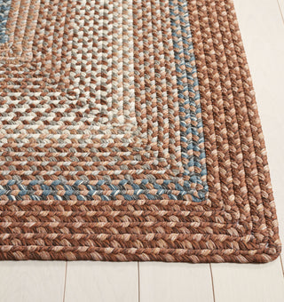 Safavieh Braided BRD313A Brown / Multi Area Rug Detail