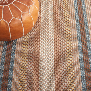 Safavieh Braided BRD313A Brown / Multi Area Rug Detail